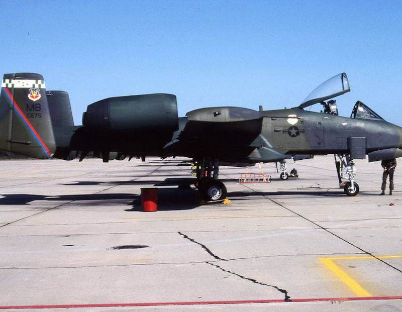  - Warbird