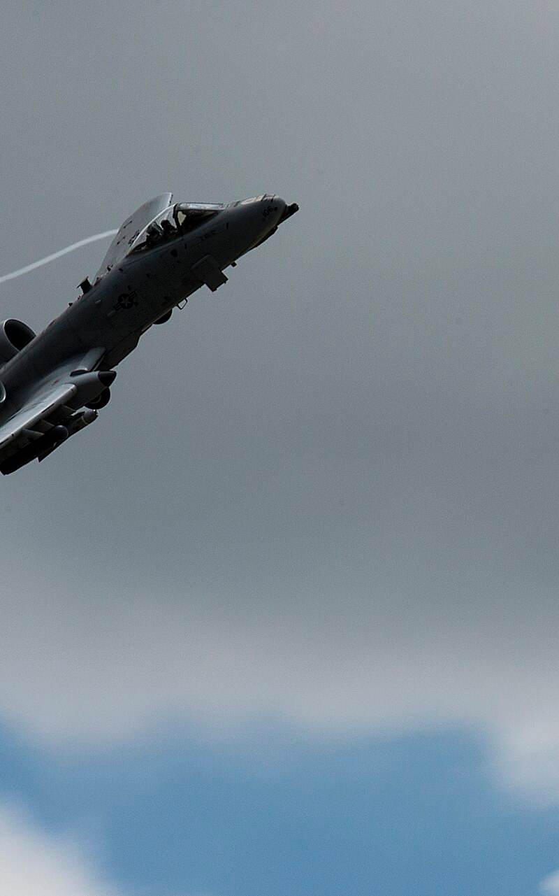  - Warbird
