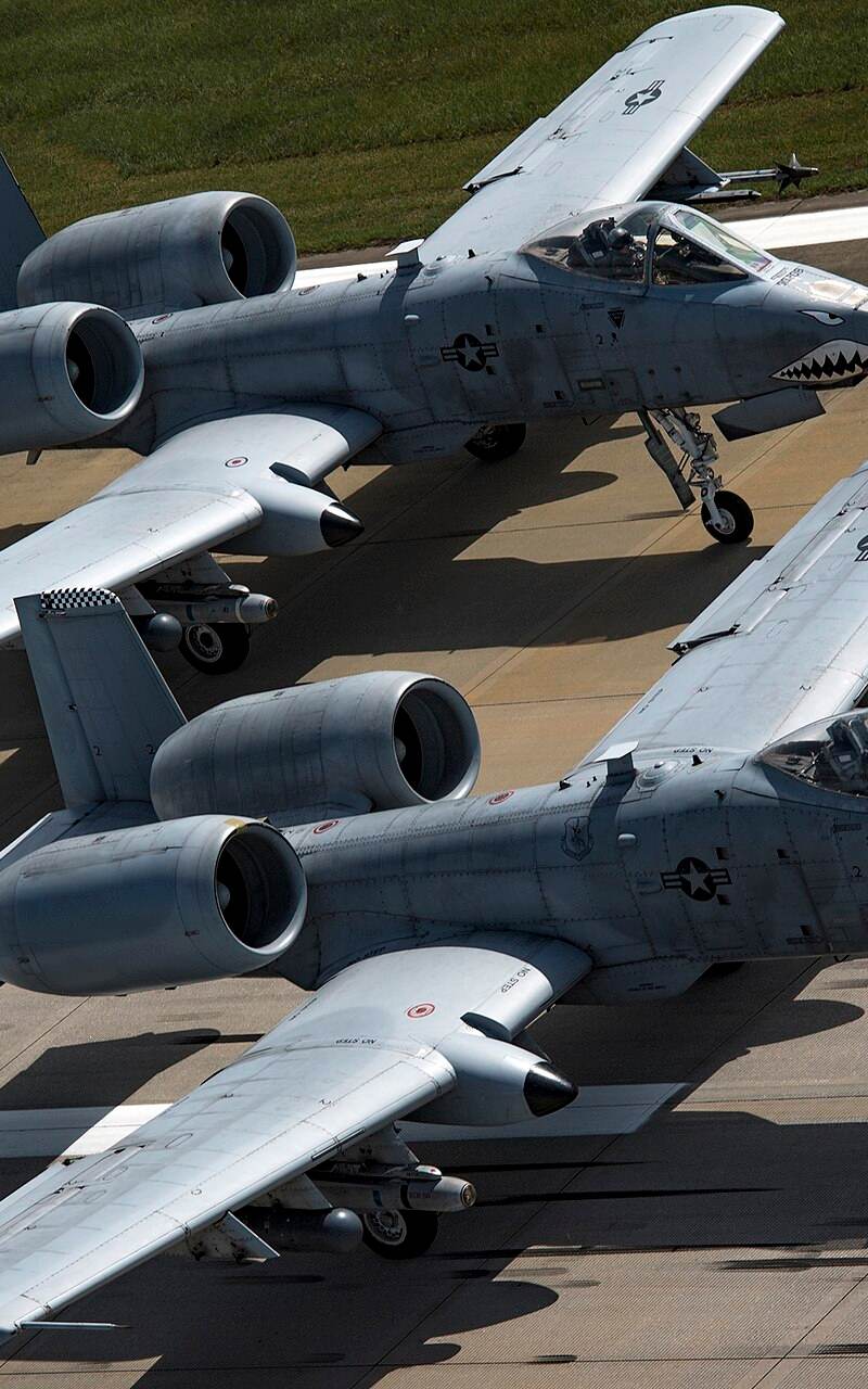  - Warbird