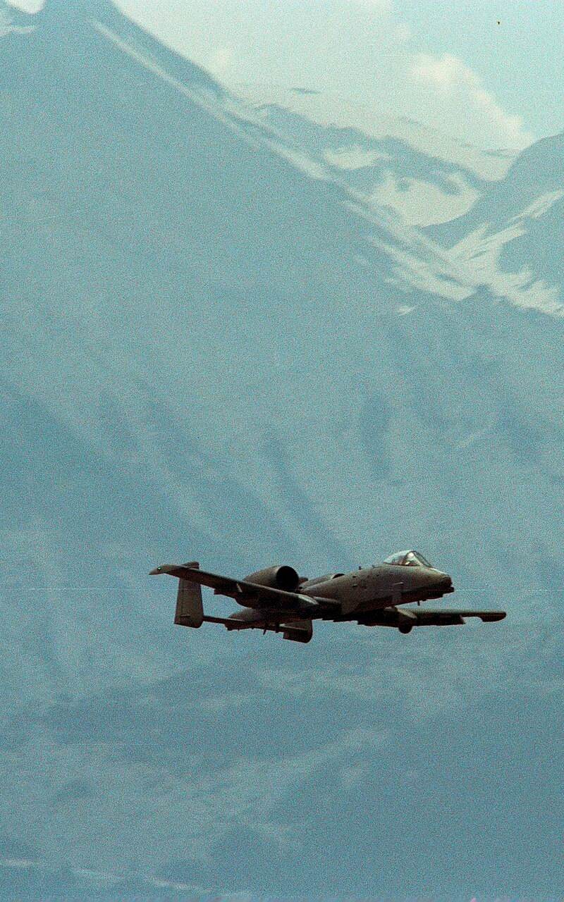  - Warbird