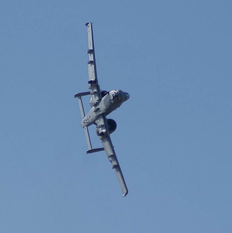  - Warbird
