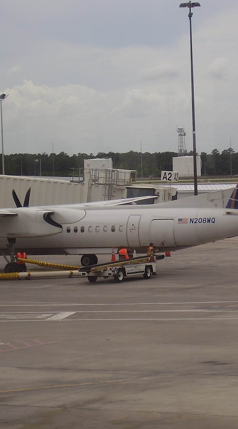 N208WQ - Aircraft