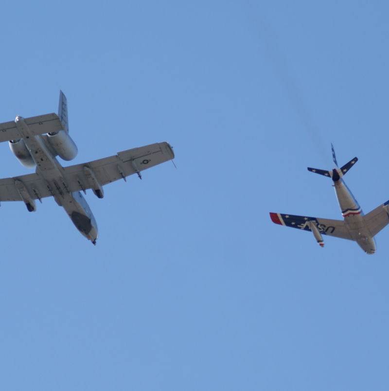  - Warbird
