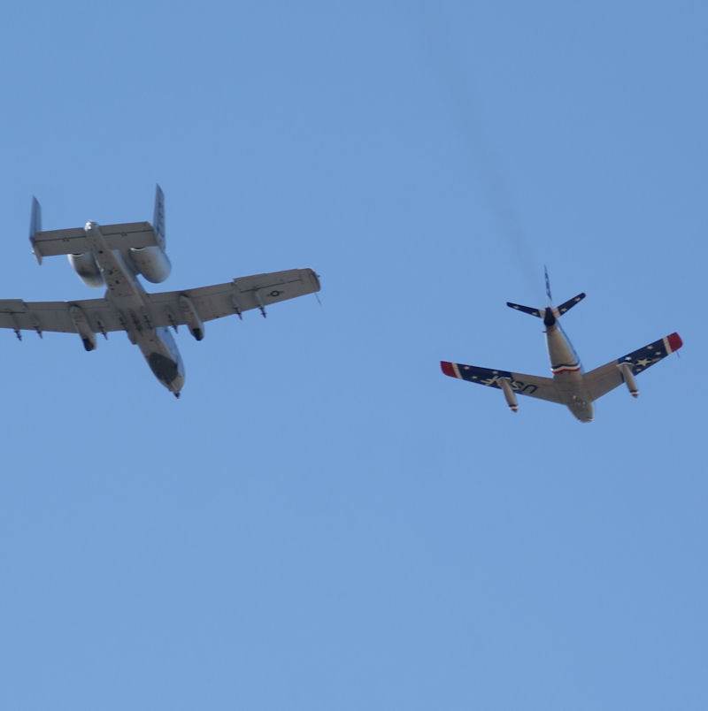  - Warbird