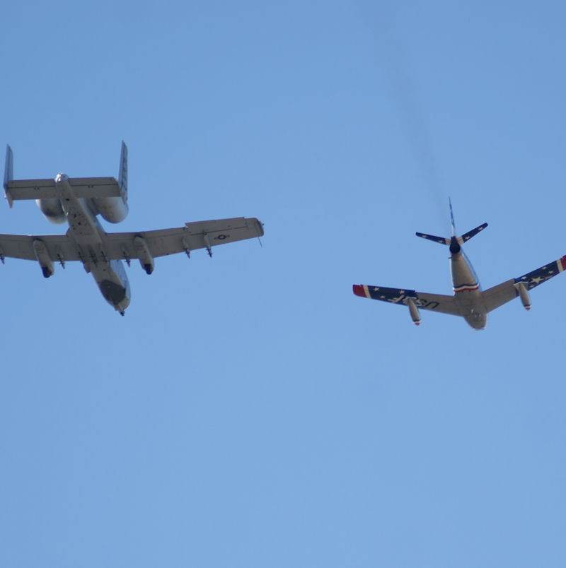  - Warbird