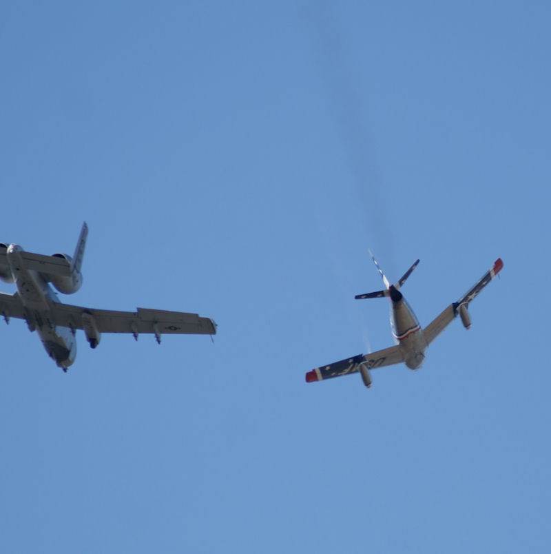  - Warbird