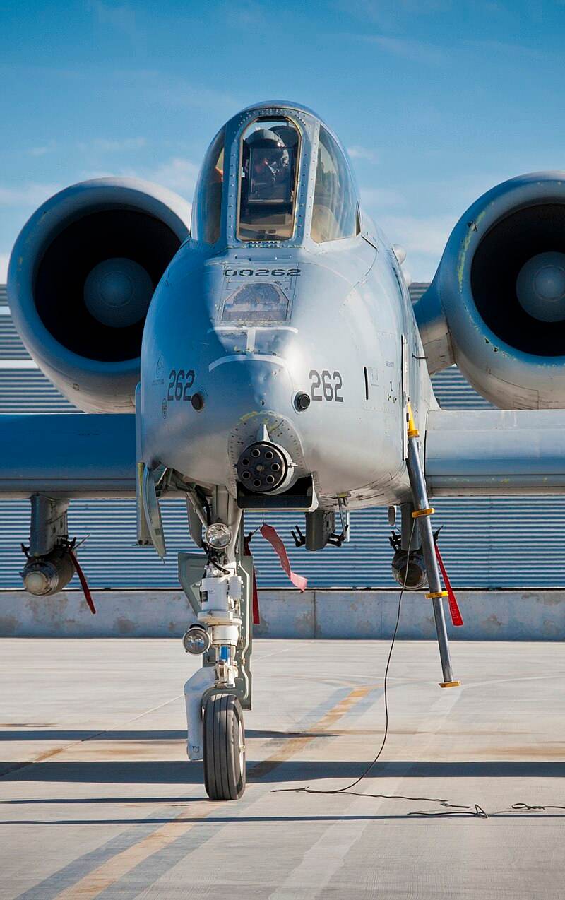  - Warbird