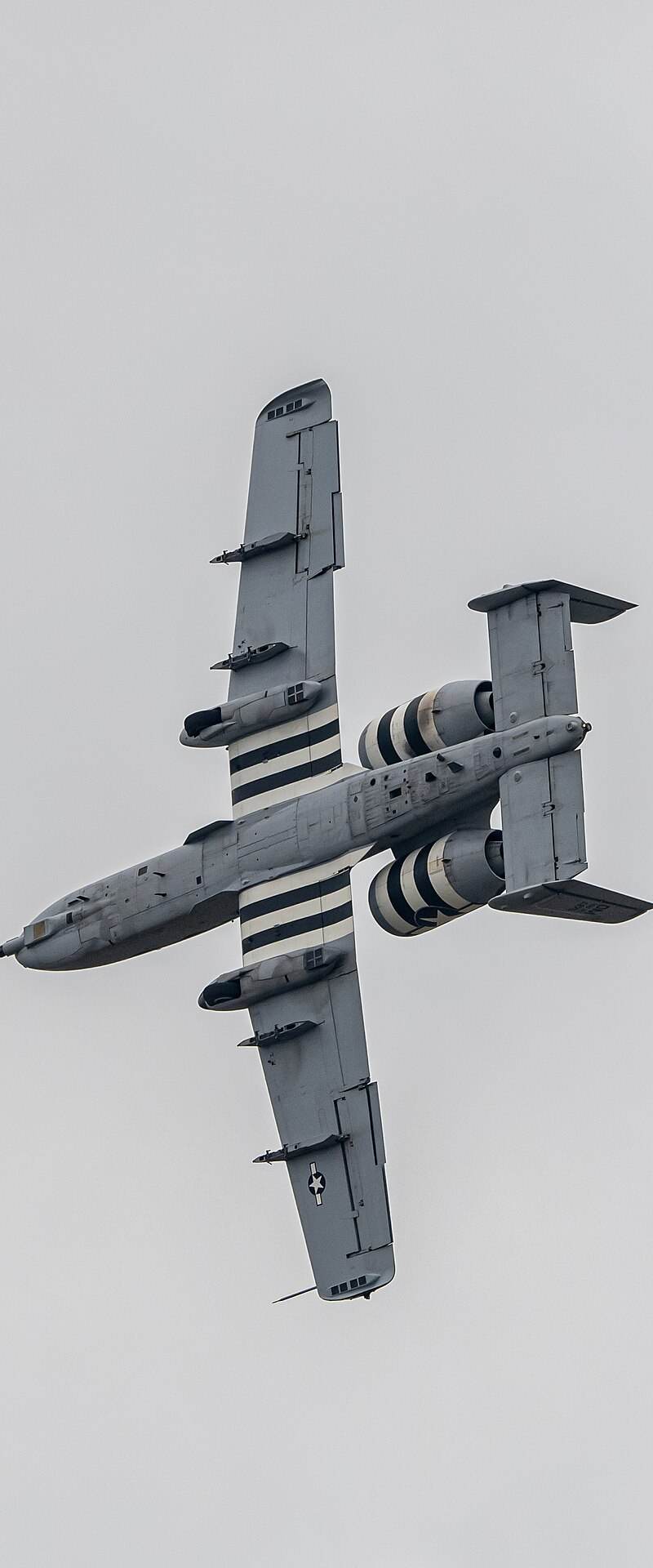  - Warbird