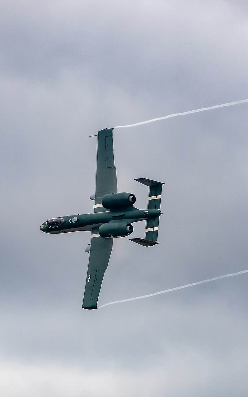  - Warbird
