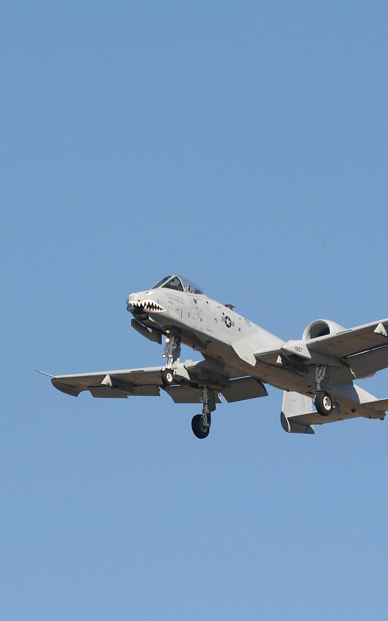  - Warbird
