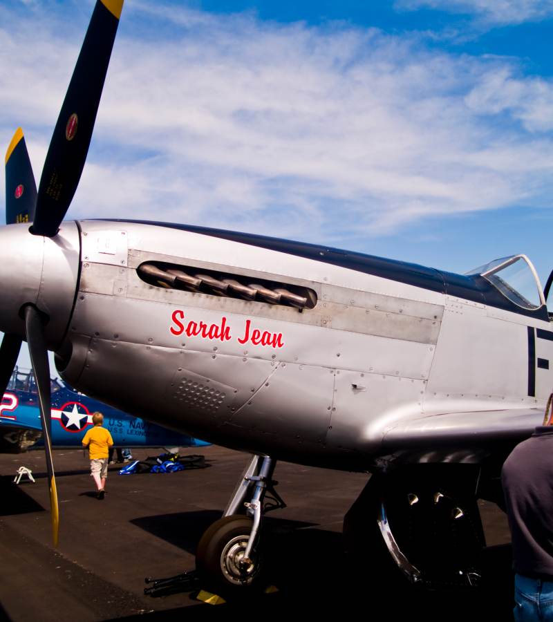  - Warbird