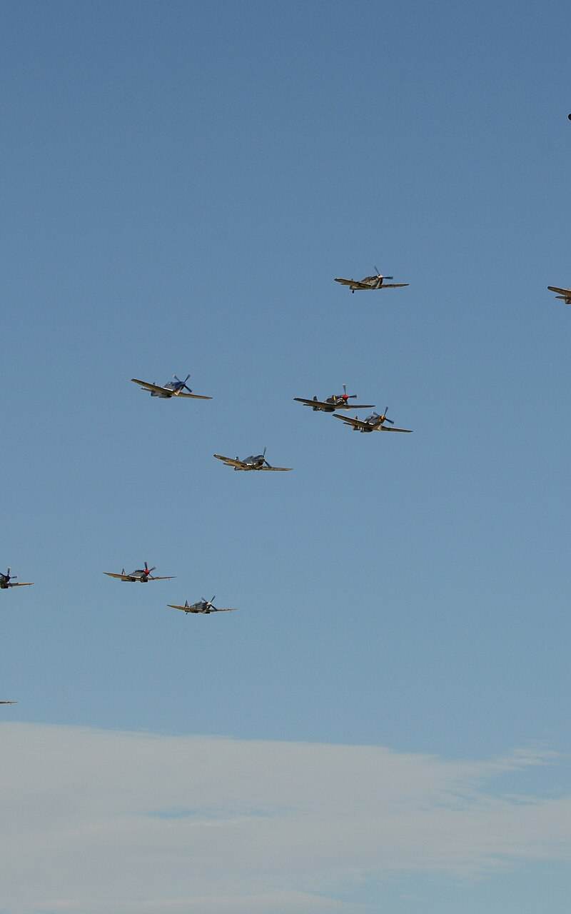  - Warbird
