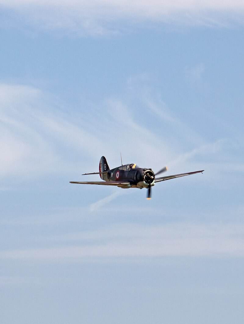  - Warbird