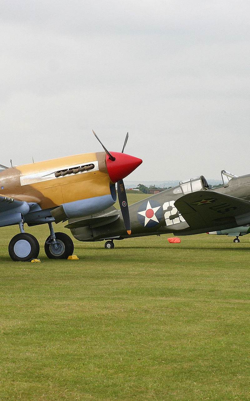  - Warbird