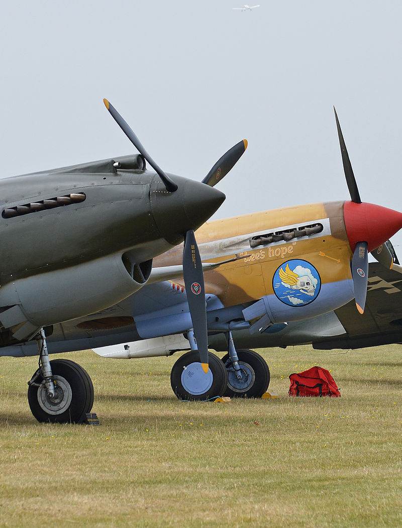  - Warbird