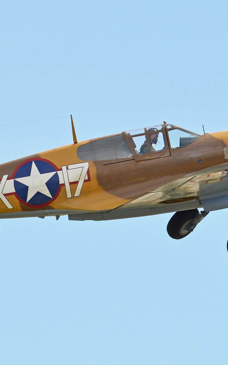  - Warbird
