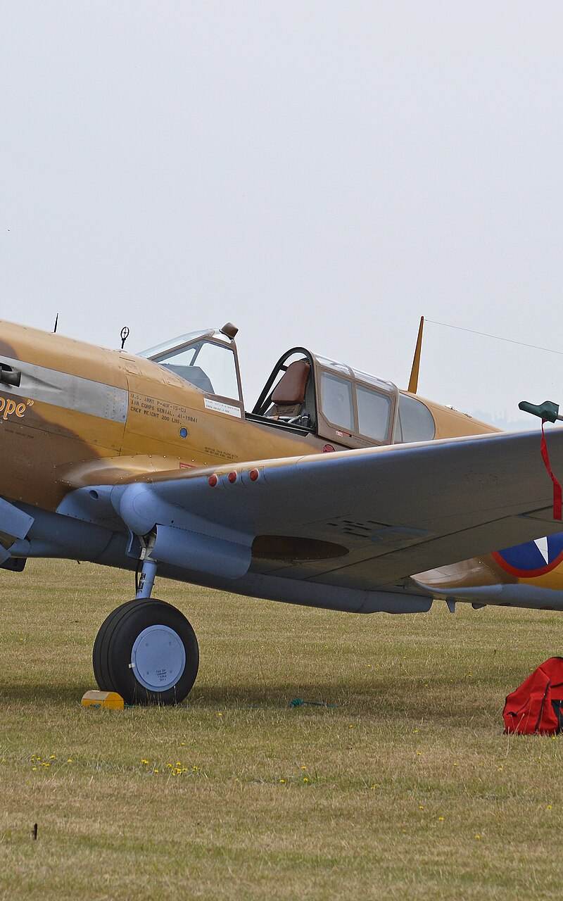  - Warbird