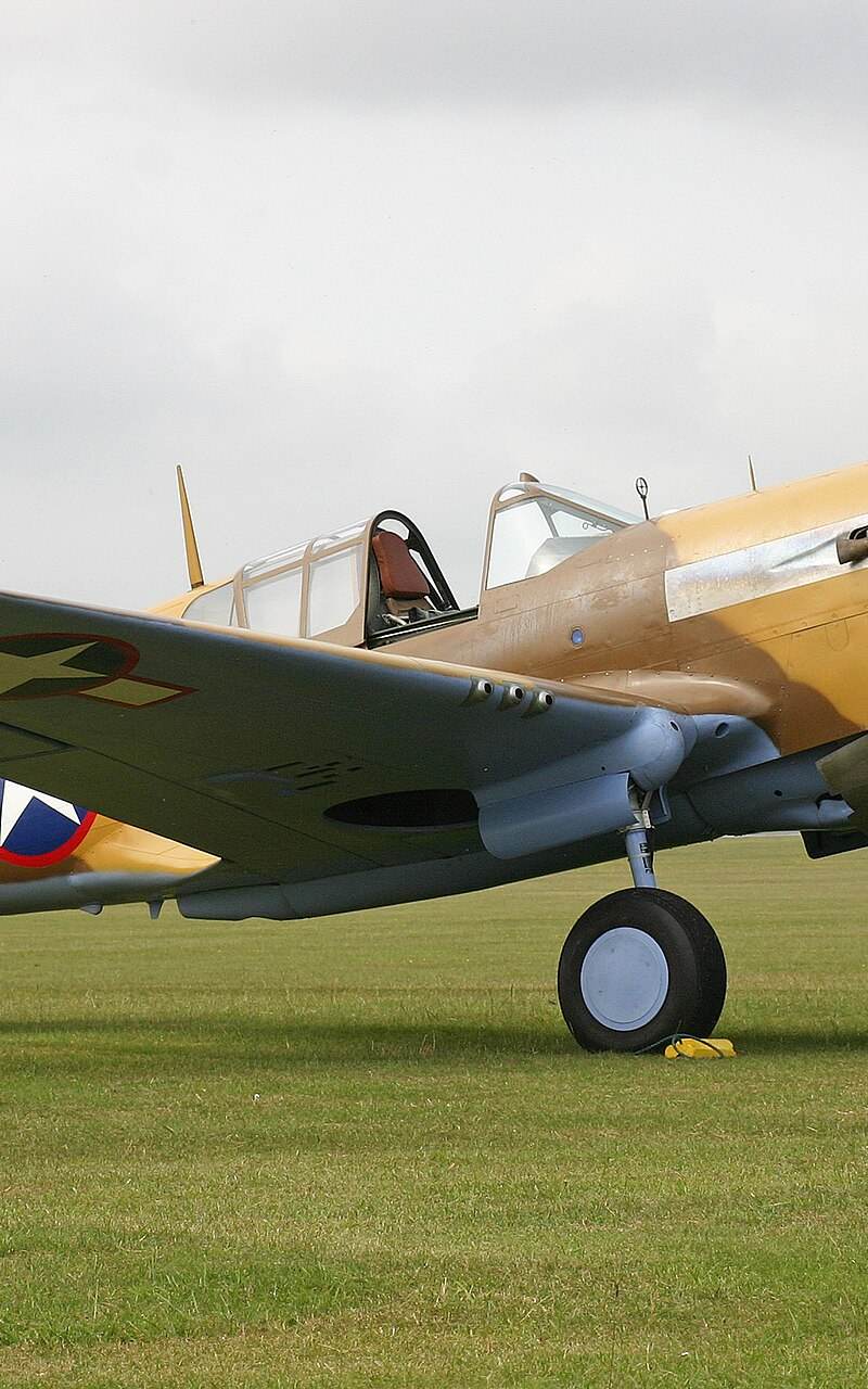  - Warbird