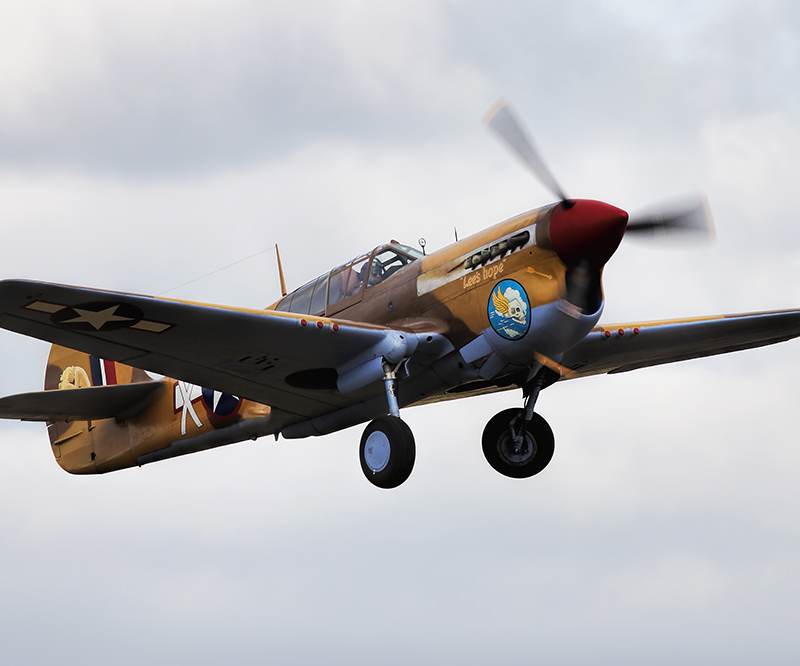  - Warbird