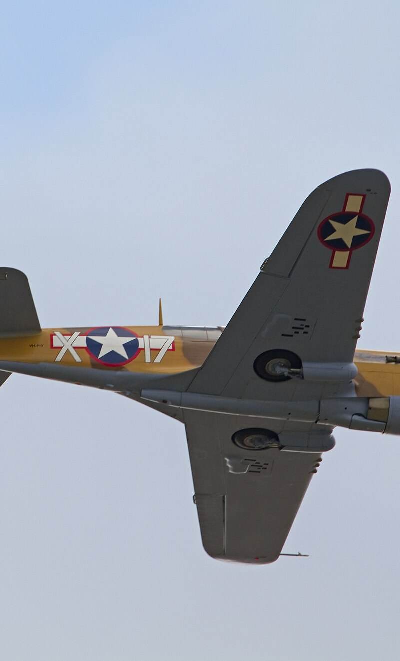 - Warbird