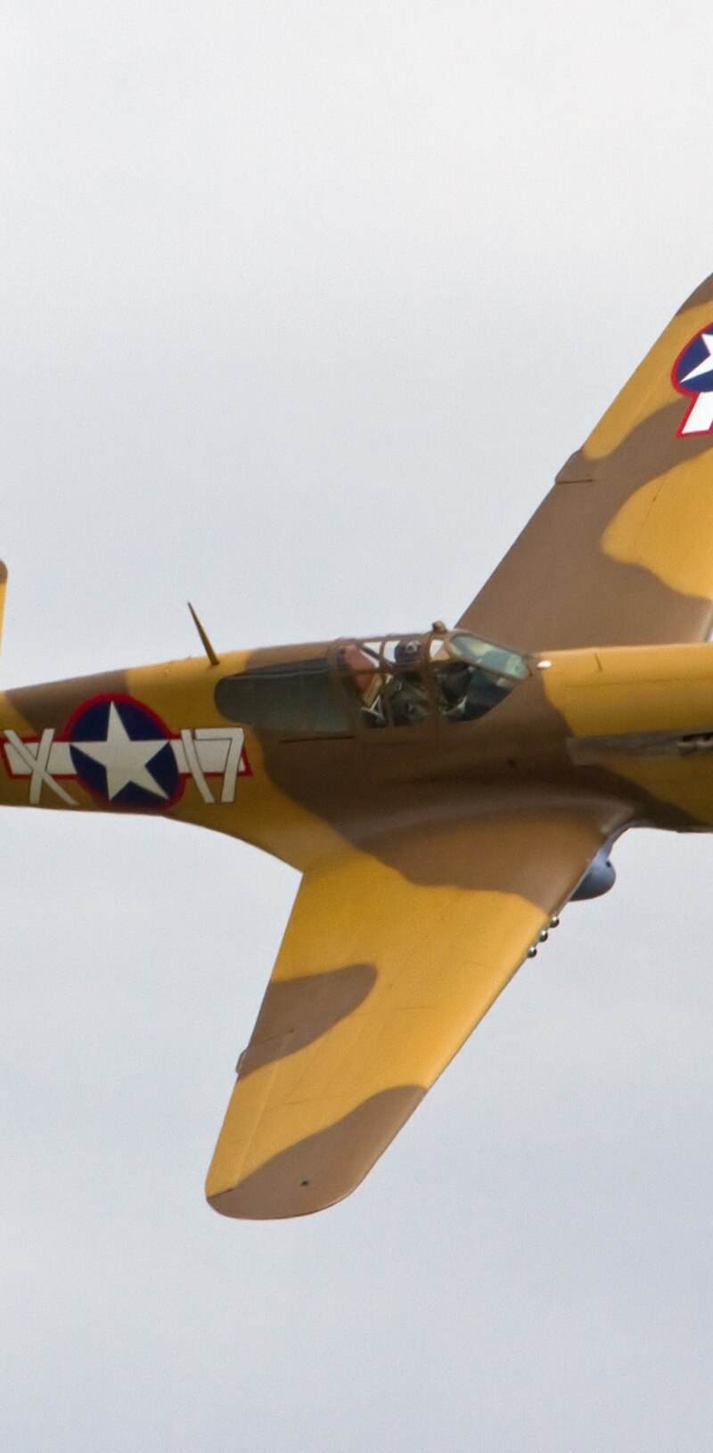  - Warbird