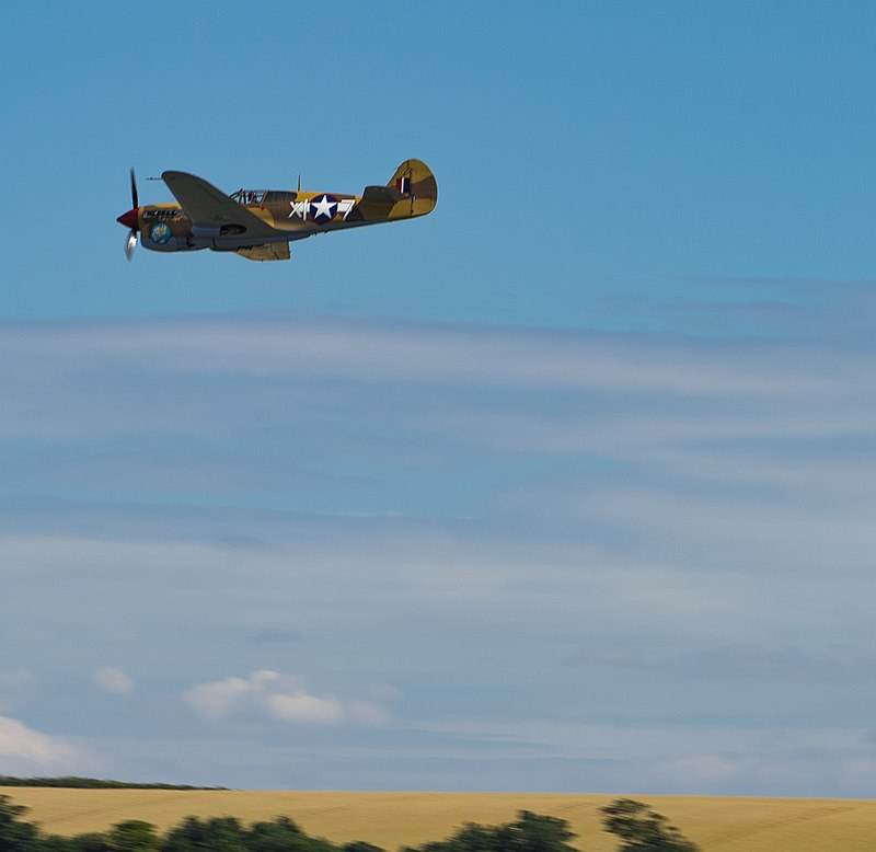  - Warbird
