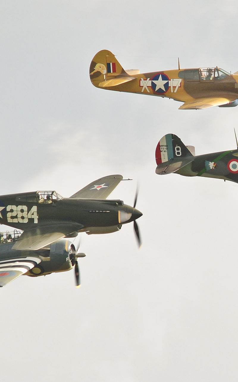  - Warbird