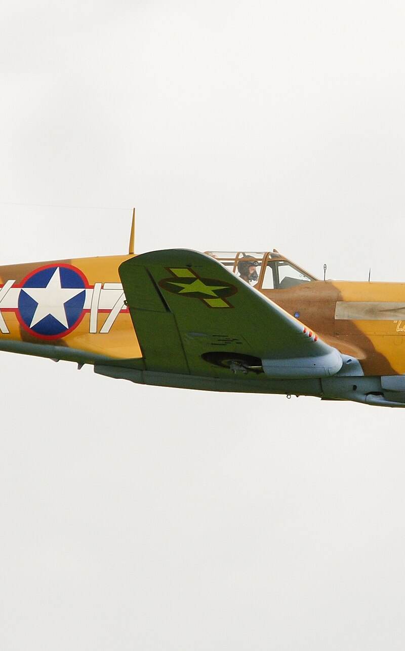  - Warbird