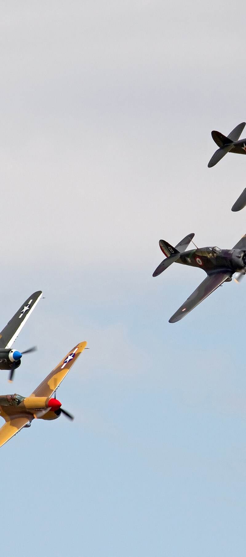  - Warbird
