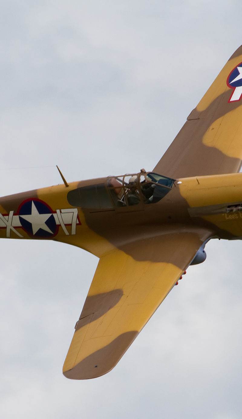  - Warbird