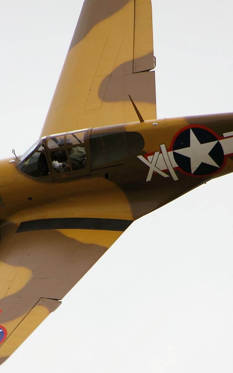  - Warbird