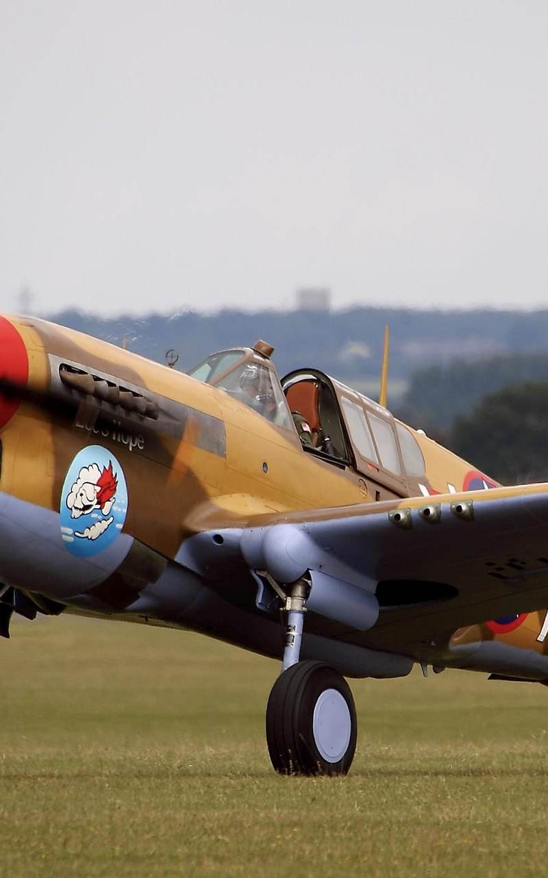  - Warbird