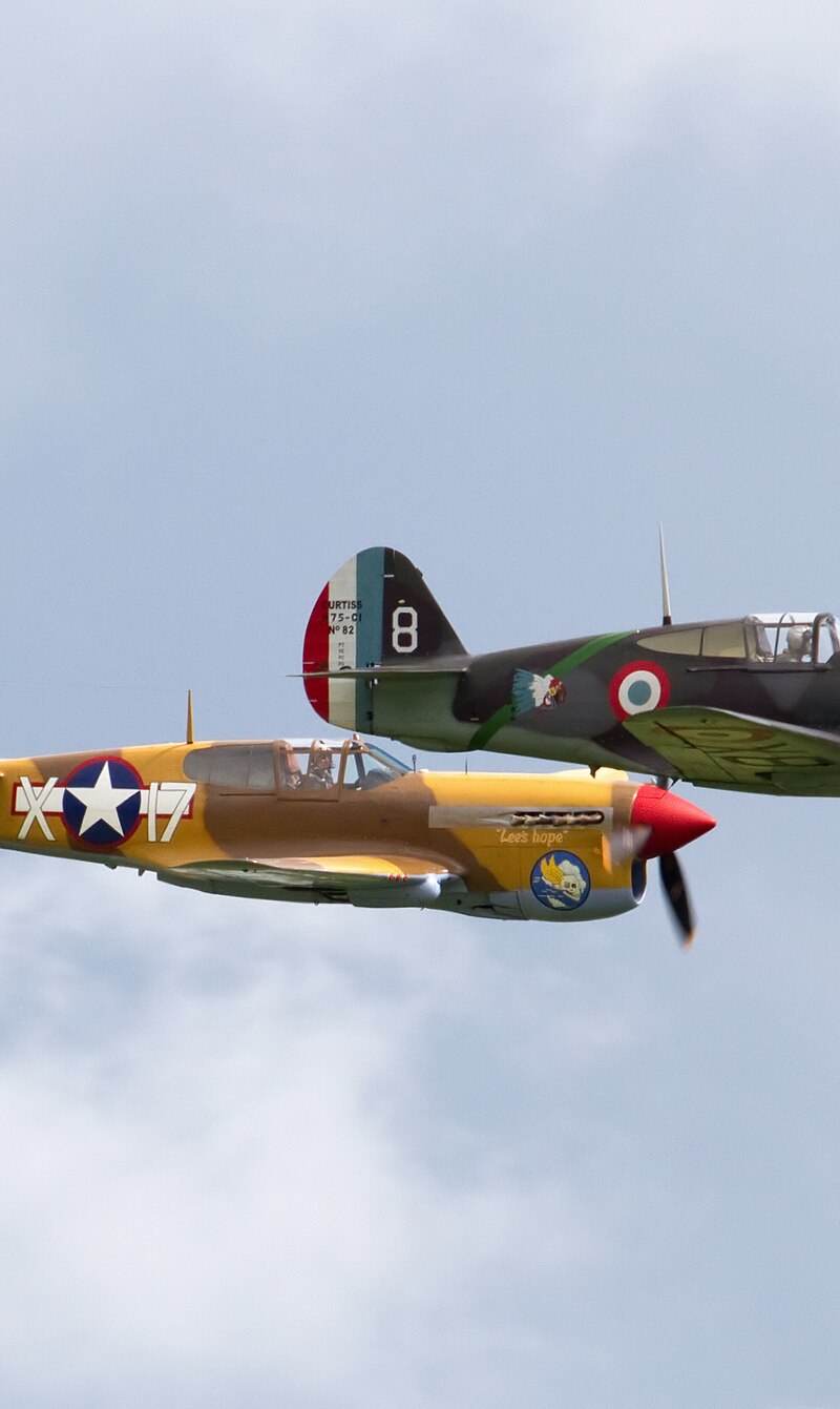  - Warbird