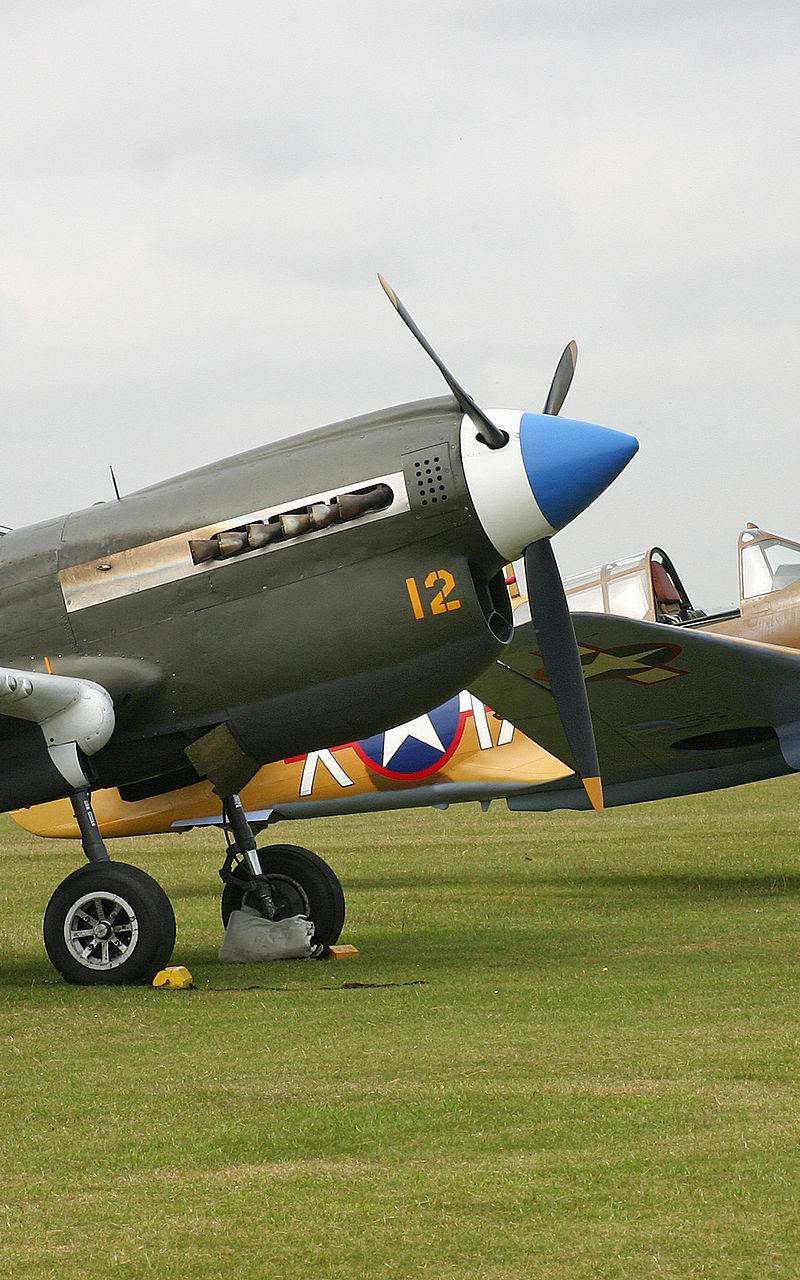  - Warbird