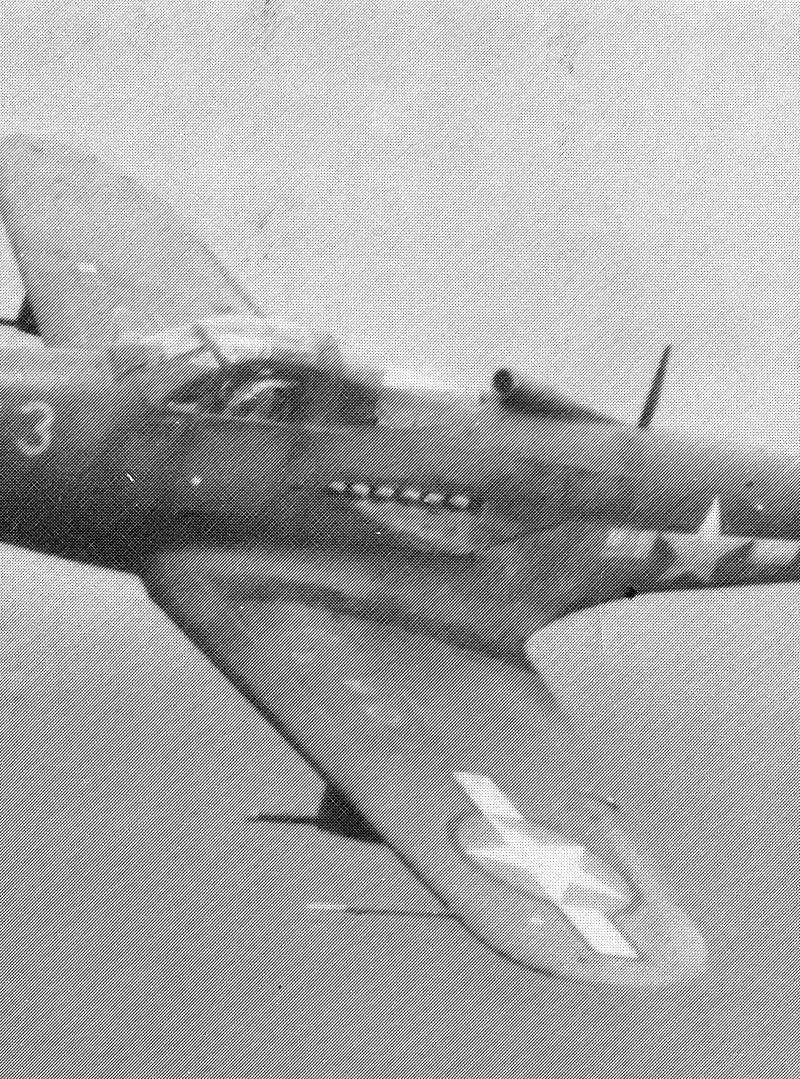  - Warbird