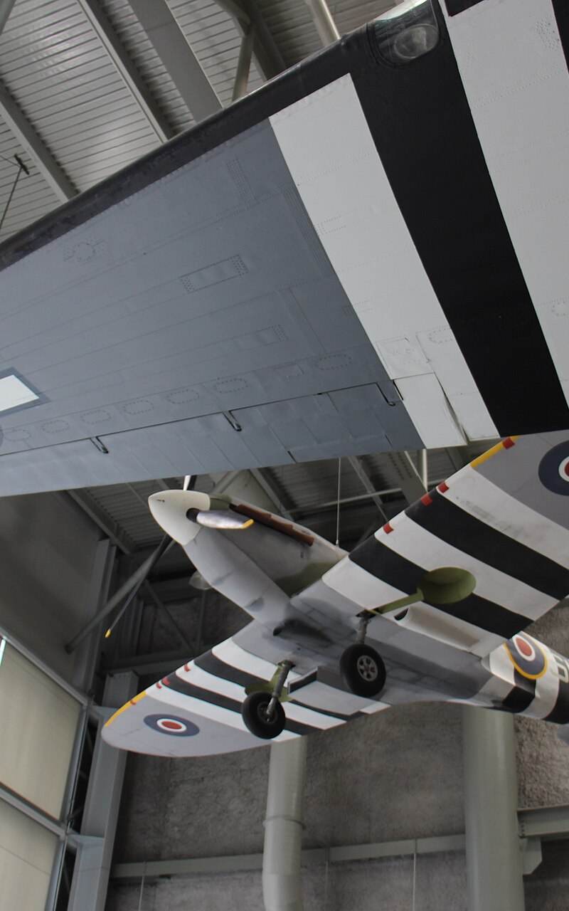 - Warbird