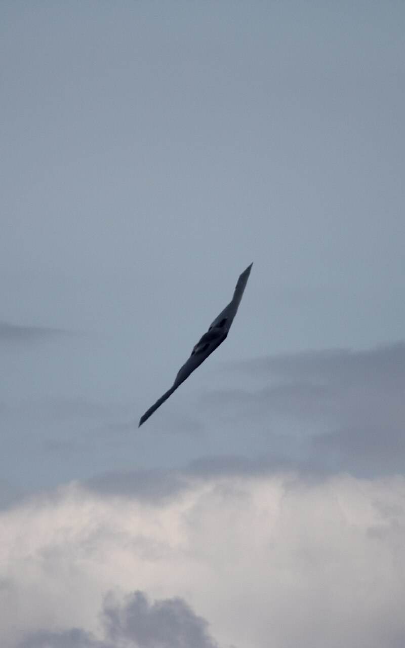  - Warbird