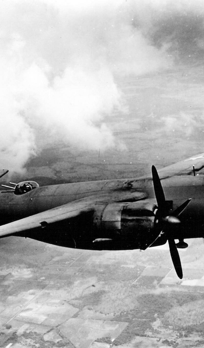  - Warbird