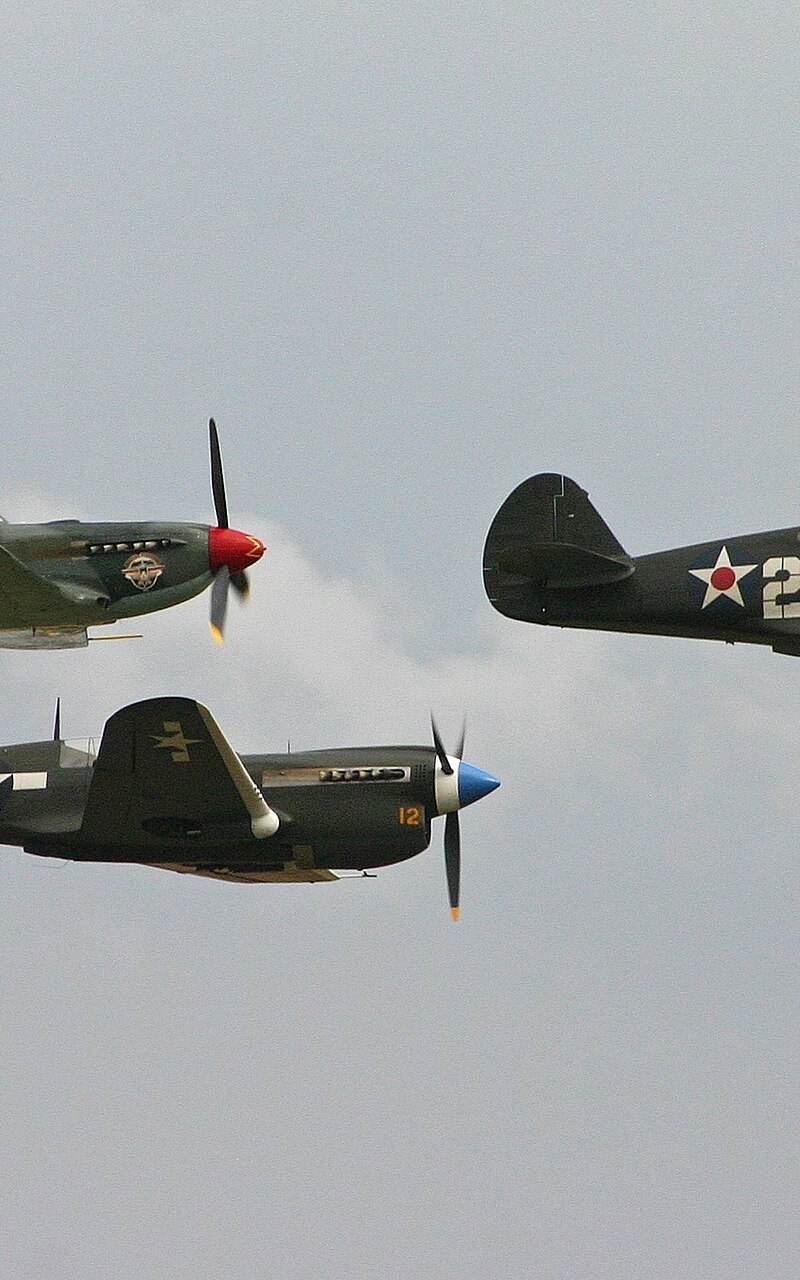  - Warbird