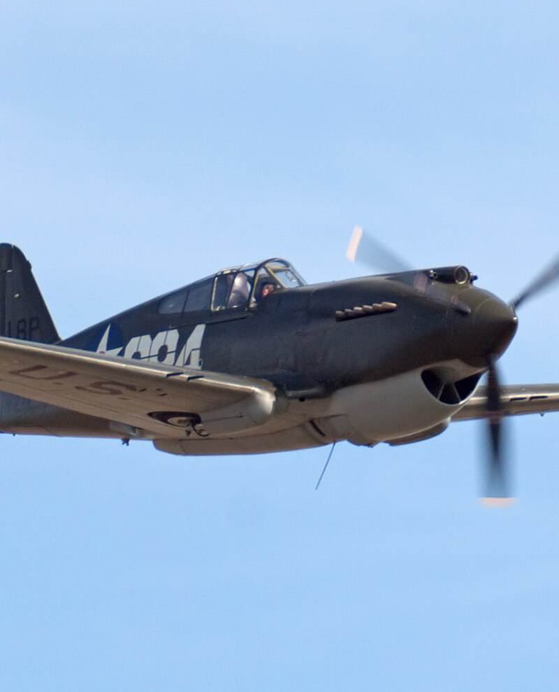  - Warbird