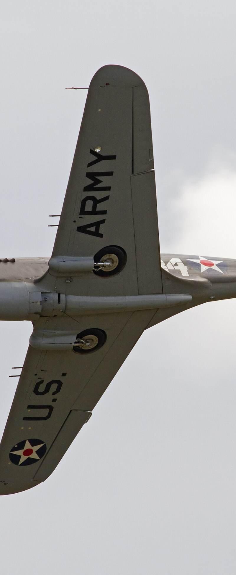  - Warbird