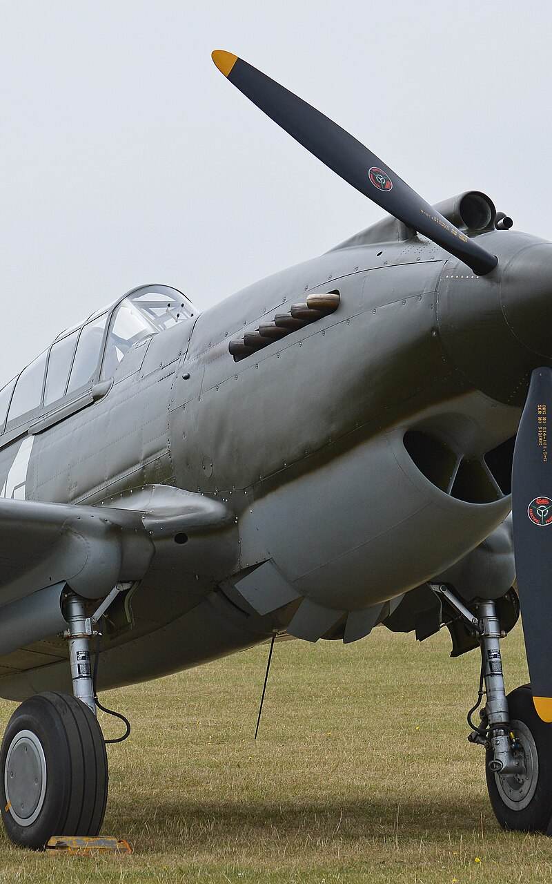  - Warbird