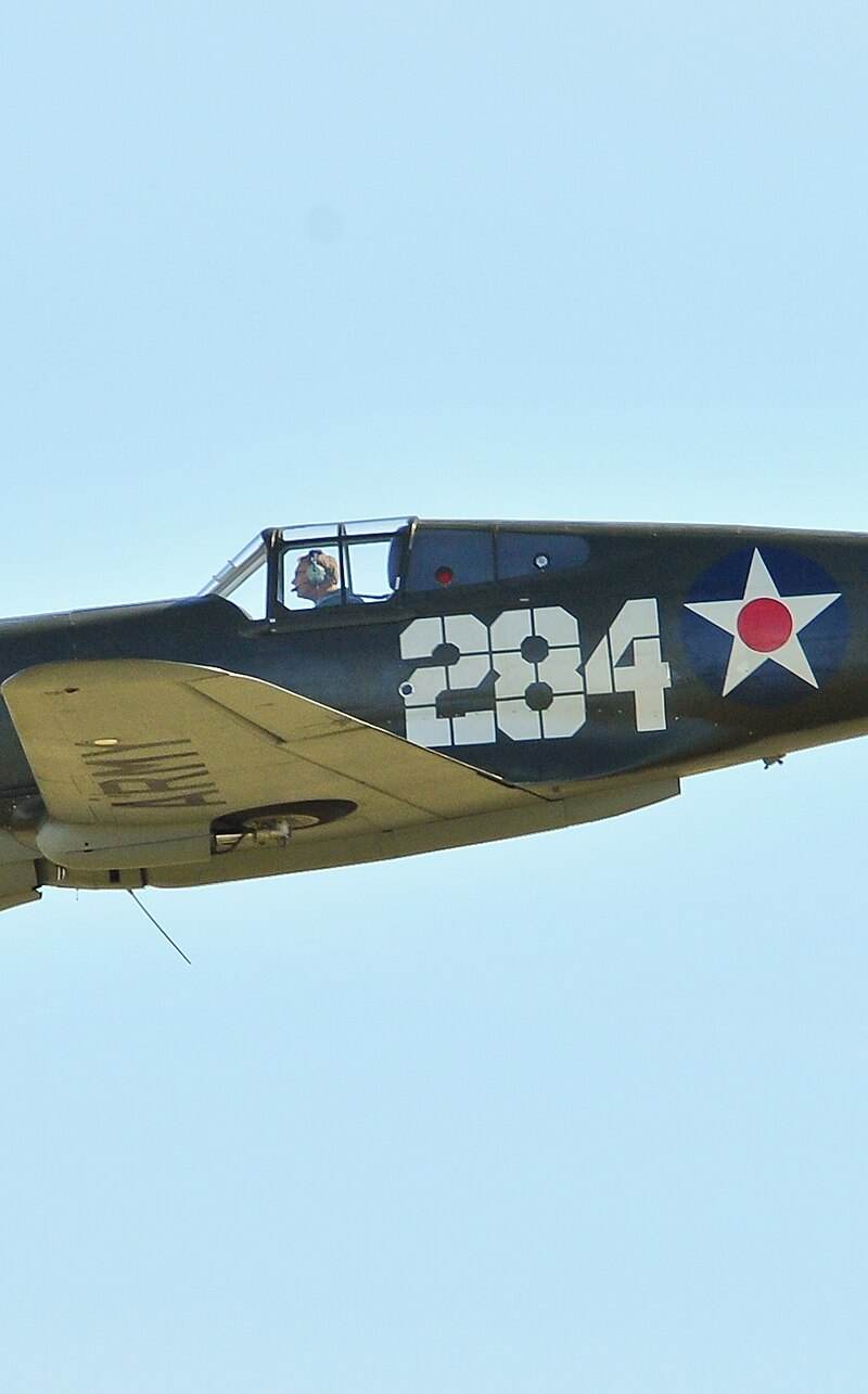  - Warbird