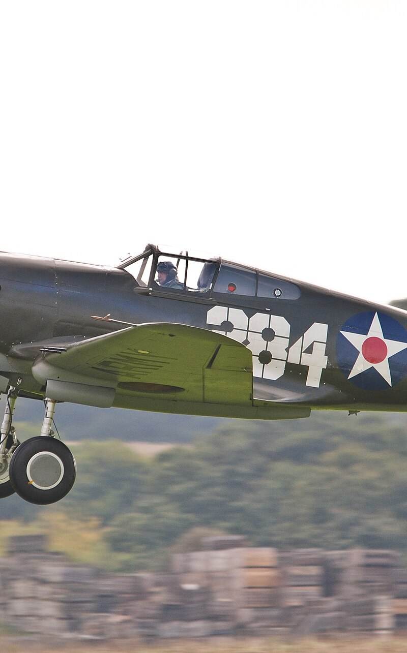 - Warbird
