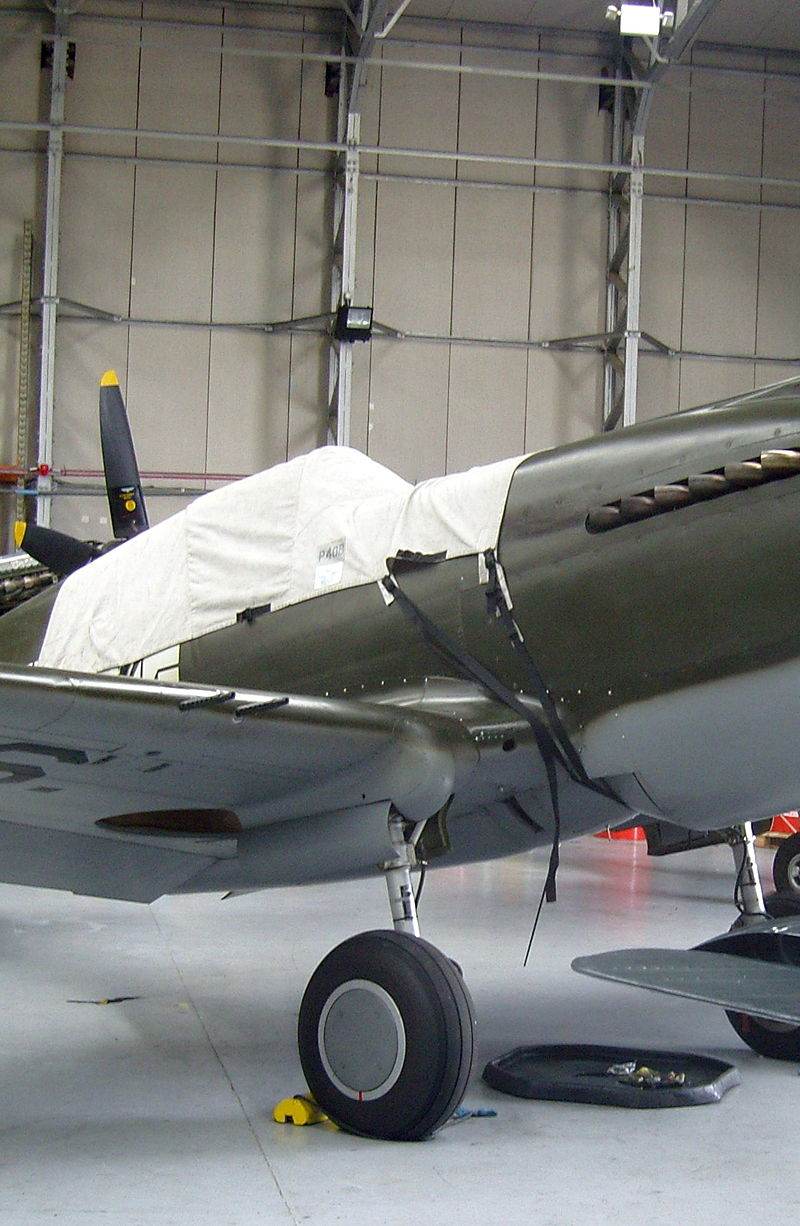 - Warbird