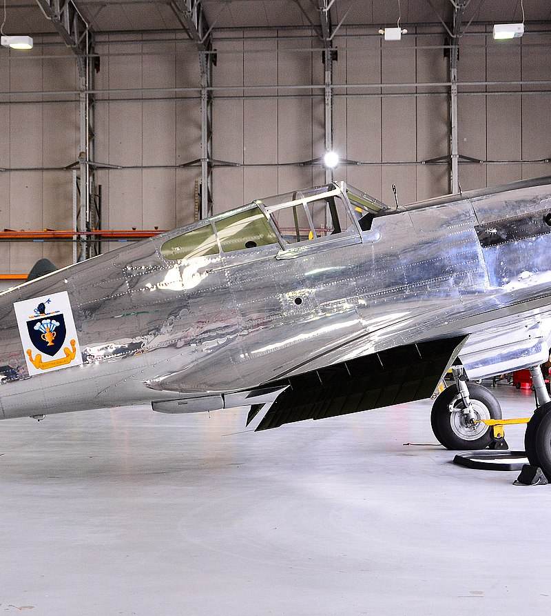  - Warbird
