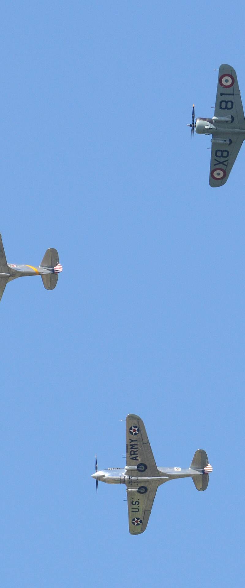  - Warbird