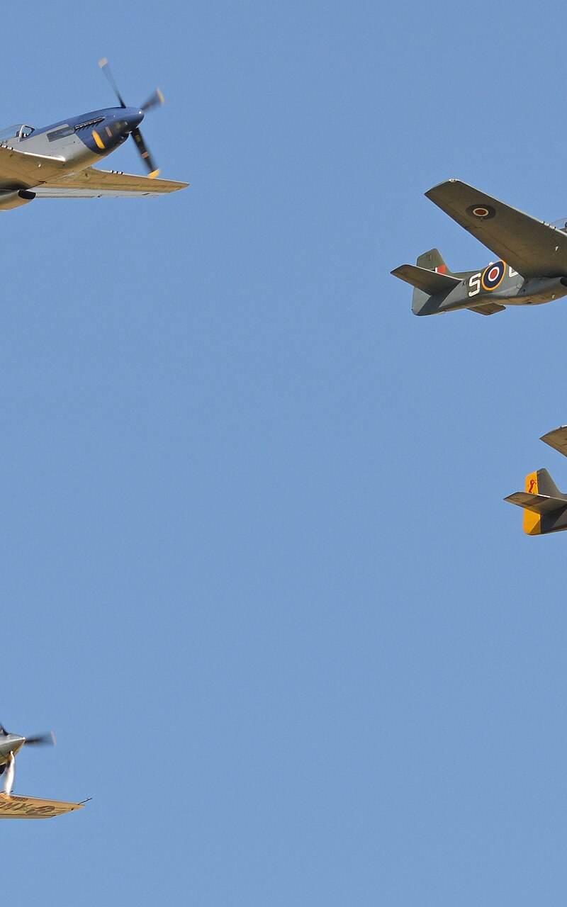  - Warbird