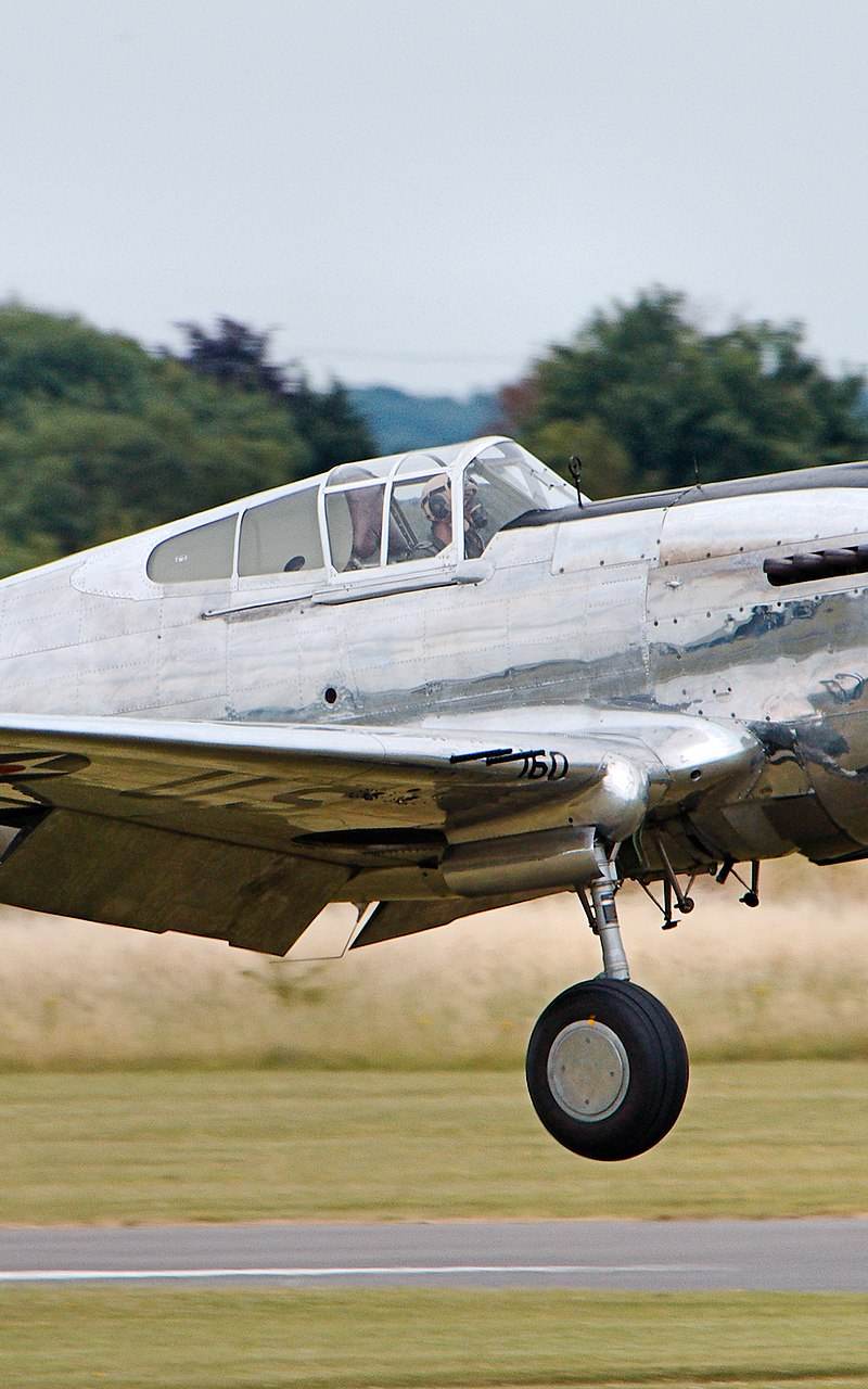  - Warbird