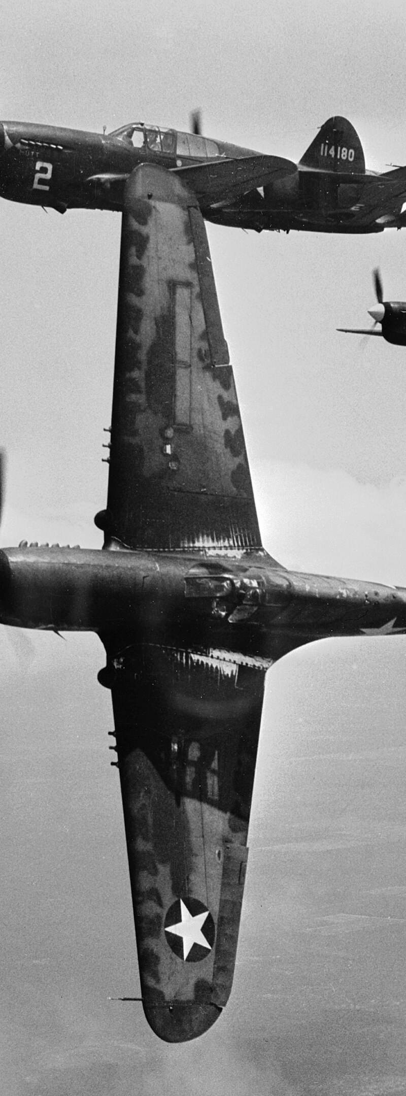  - Warbird
